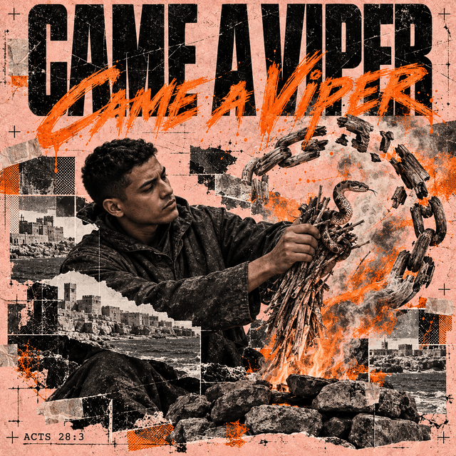 Came A Viper