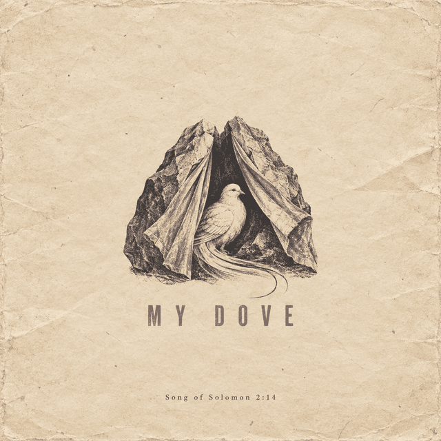 My Dove